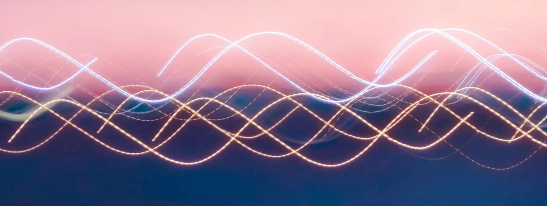 Algorithmen Blog OvulaRing