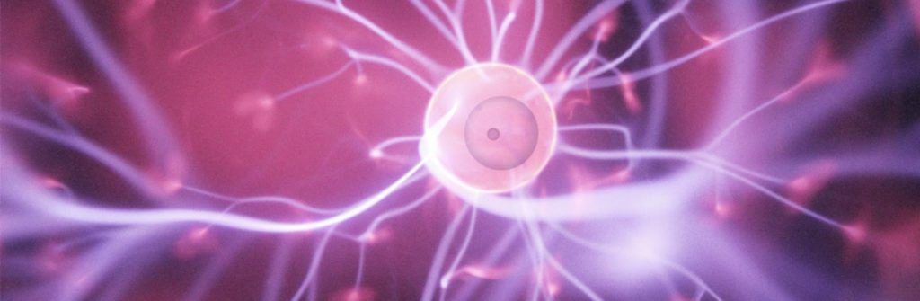 The power of ovulation