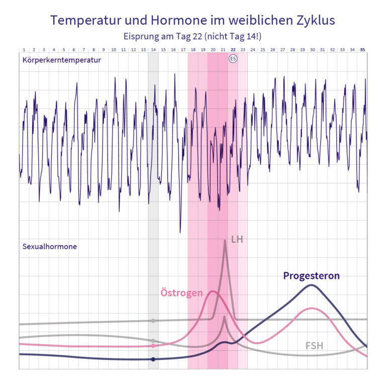 Hormone und Temperatur im weiblichen Zyklus - OvulaRing