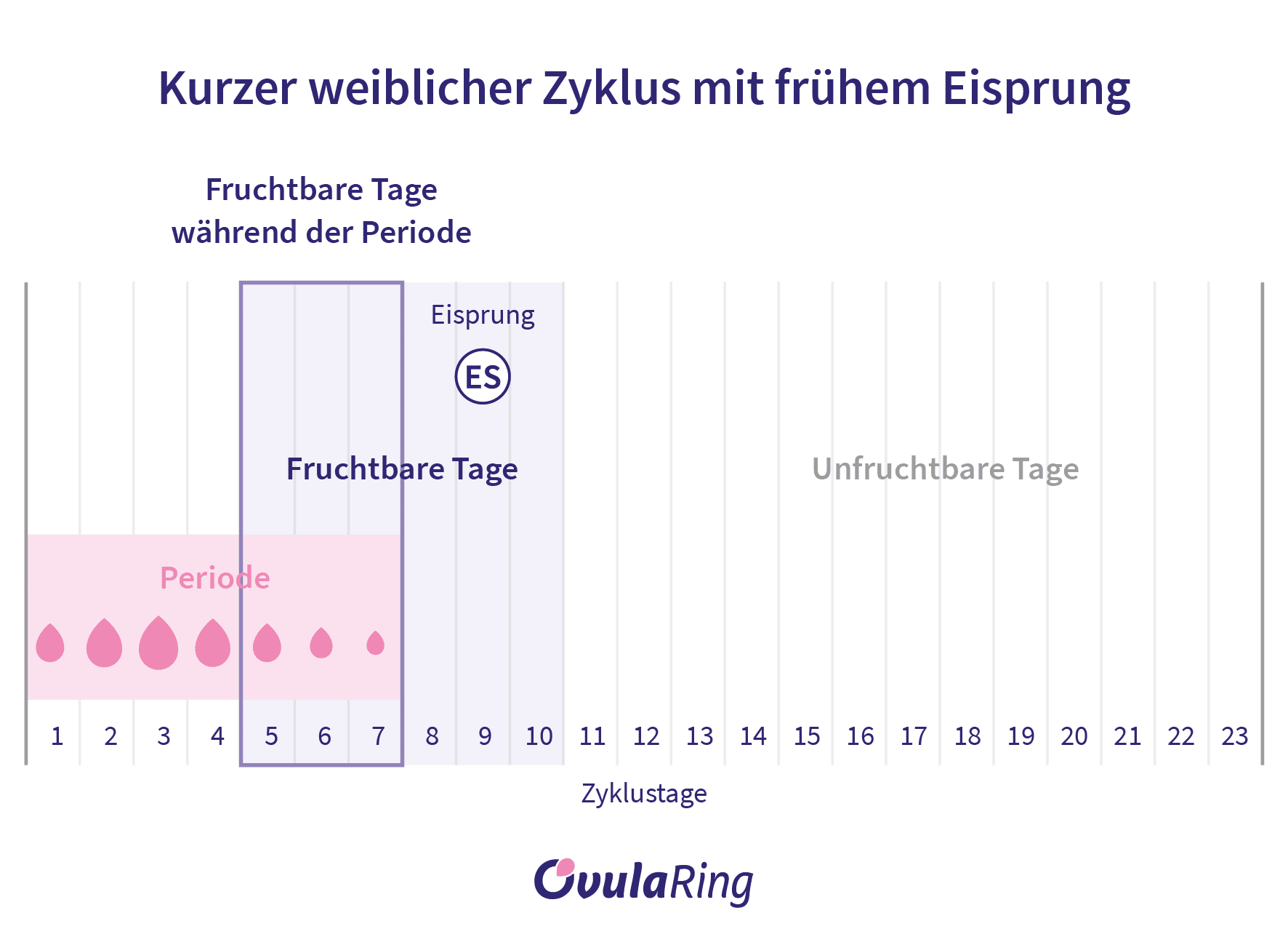 Kann man während der Periode schwanger werden? (Ja, das geht)