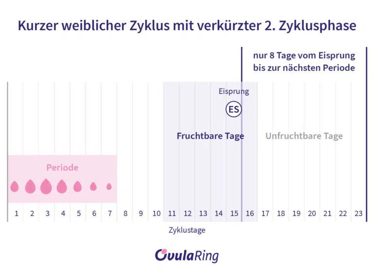 verkürze Luthealphase - Gelbkörperschwäche