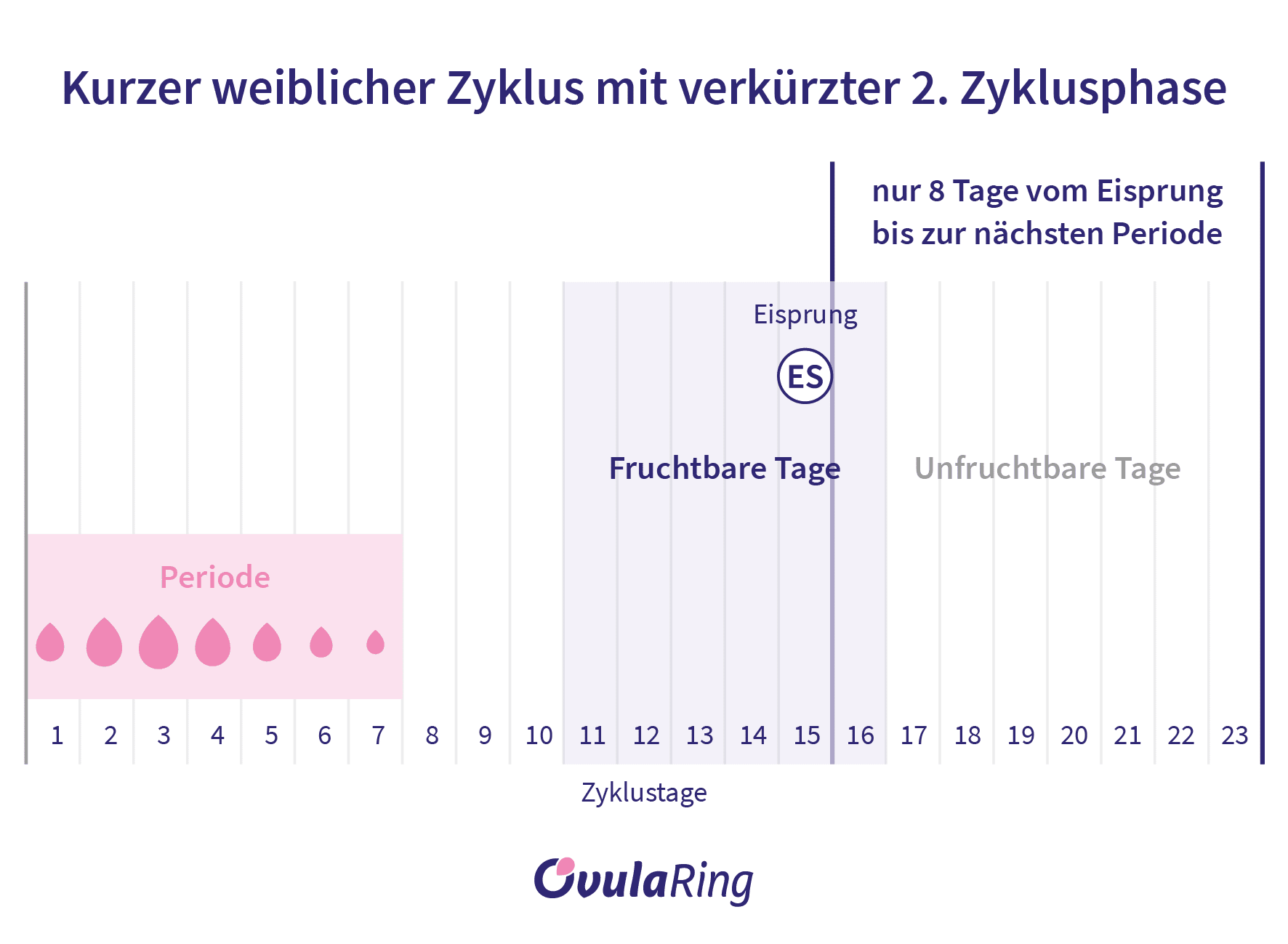 Wie Lange Kann Frau Schwanger Werden ovularing.com