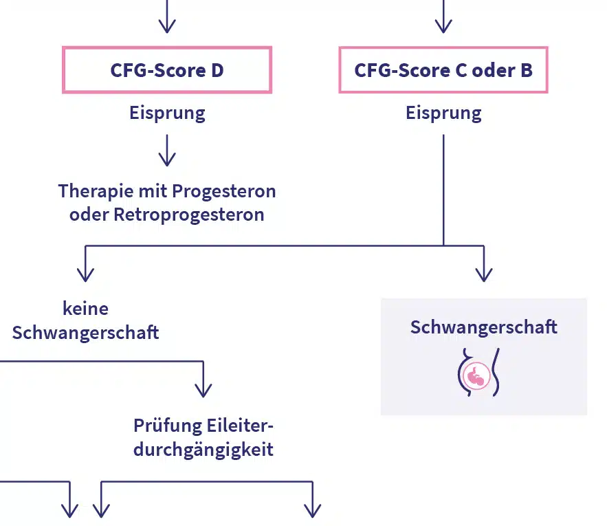 OvulaRing Behandlungsschema bei unerfülltem Kinderwunsch - Vorschau