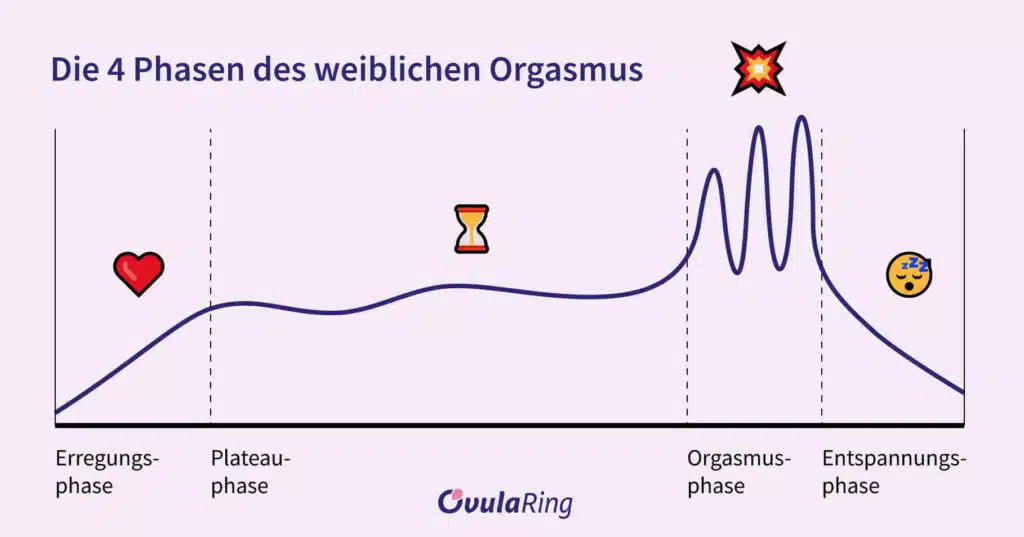 Weiblicher Orgasmus: die 4 Phasen, 7 Mythen & Fakten
